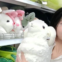 ผู้เเต่ง