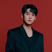 Kim Mingyu