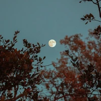Luna