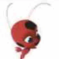 Tikki