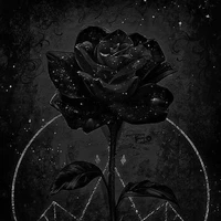 BR ( Black Ros )