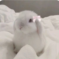 ลีเมอร์🐰[น.อ+ร่าง🐰]