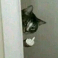 แอดเองจร้าา