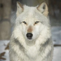 เป็นทุกอย่างให้เทอแล้ว//แอดร่่ง2