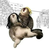 แอด