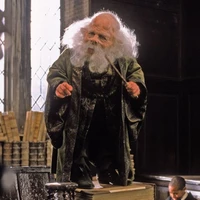 profesor Flitwik
