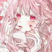 ชอลลี่