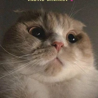 แอด