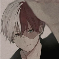 °Todoroki Shoto°