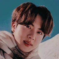 Seokjin Kim (jinnie)