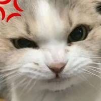 ไนท์(คนสร้าง)