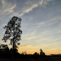 แอดงายย