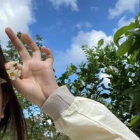 P._qim 🌻