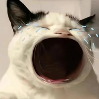 ส้มๆ