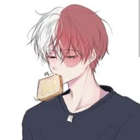 🧊 Shoto 🔥
