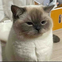 ไข่มุก😽