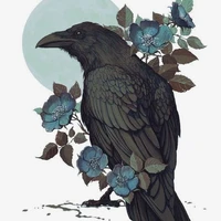Raven