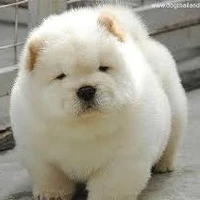 แอดเองนะ