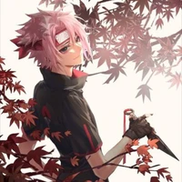 itasuke haruno