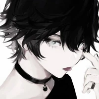 y/n nobi