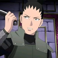 shikamaru/alfa