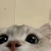 แอด✨💯