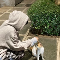 เเสงฟ้า