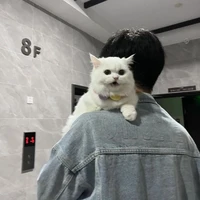 เหนือสมุทร