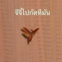 แอดหัวเน่า