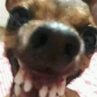 แอดเองคร่ะ