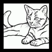 gato pálido😺