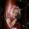 sakura haruno