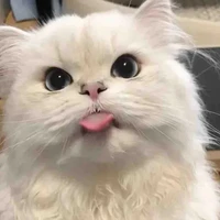 แอดเอง