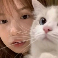 ซีน