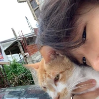 ซีโน่