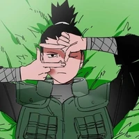 💤~Nara Shikamaru~🦥