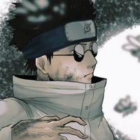 🪰~Aburame Shino~🍃