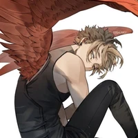Hawks