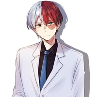 shoto todoroki A.D