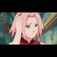 Sakura H.