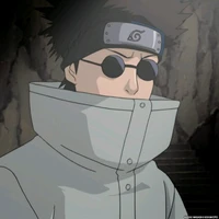 Shino