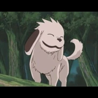 Akamaru
