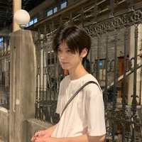 ดาวเหนือ:พระเอก