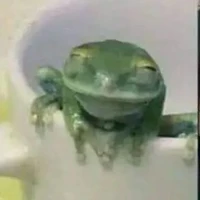 - Eu -