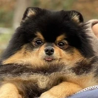 𝗬𝗲𝗼𝗻𝘁𝗮𝗻