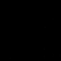 สอง/สามคน