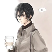mikasa