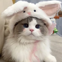 Թ_թαɾε {แอดทึ}💎