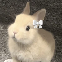 💞