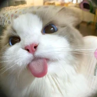 คนส๊วยย